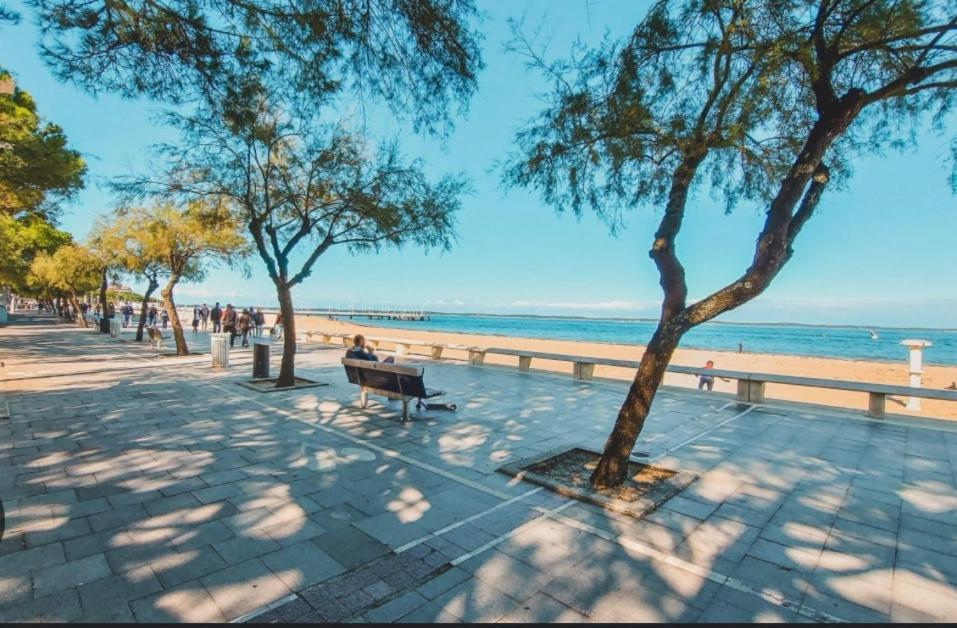 מיוס Cocon Avec Spa מראה חיצוני תמונה